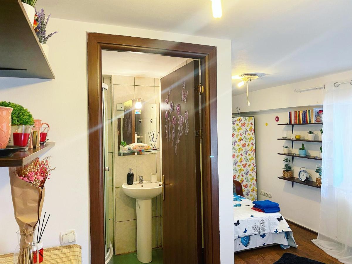 Casa Andu Appartement Boekarest Buitenkant foto