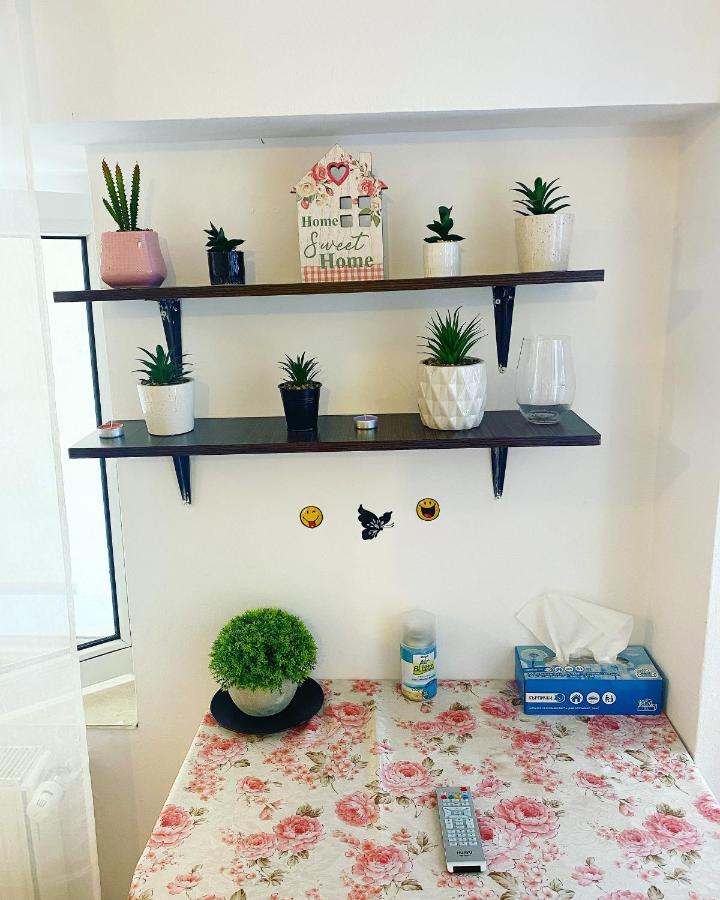 Casa Andu Appartement Boekarest Buitenkant foto