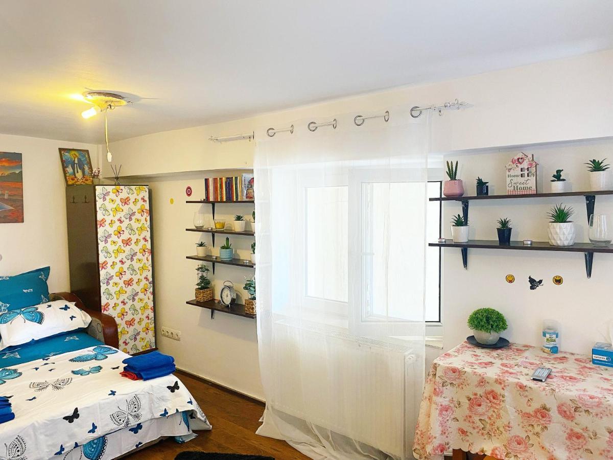 Casa Andu Appartement Boekarest Buitenkant foto